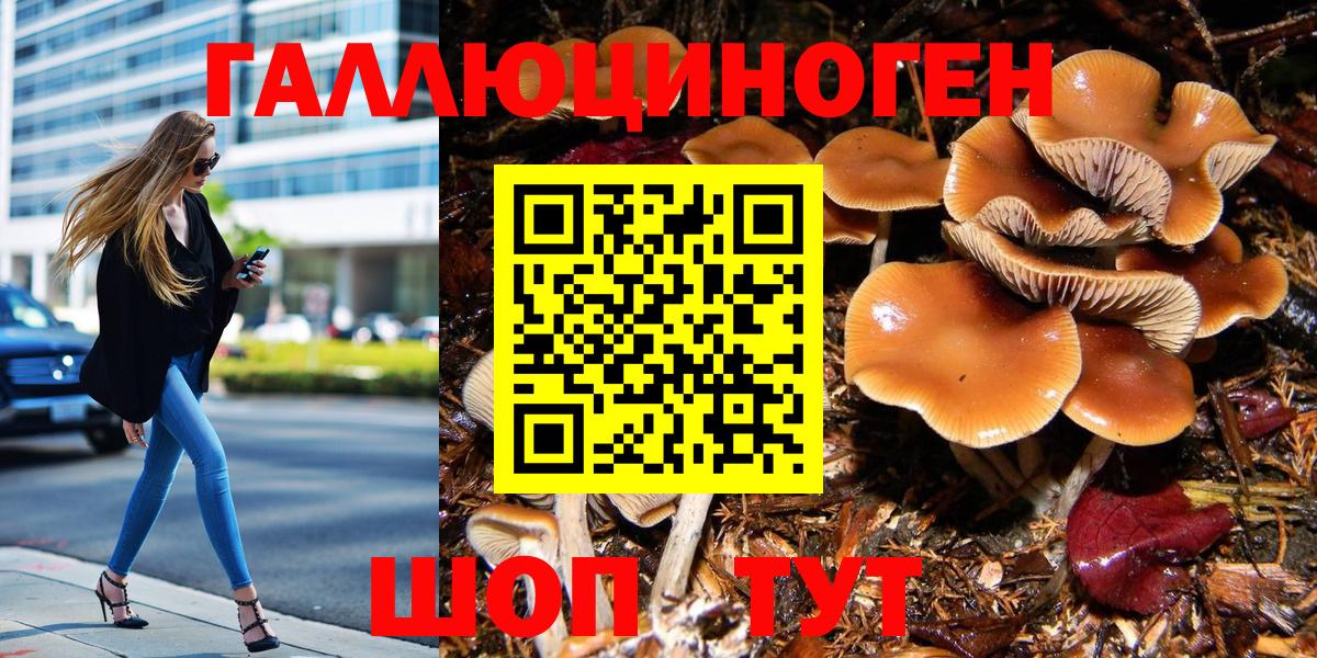 Псилоцибиновые грибы прущие грибы  как найти закладки  Псилоцибиновые грибы Cubensis  Орск  Вход с VPN 
